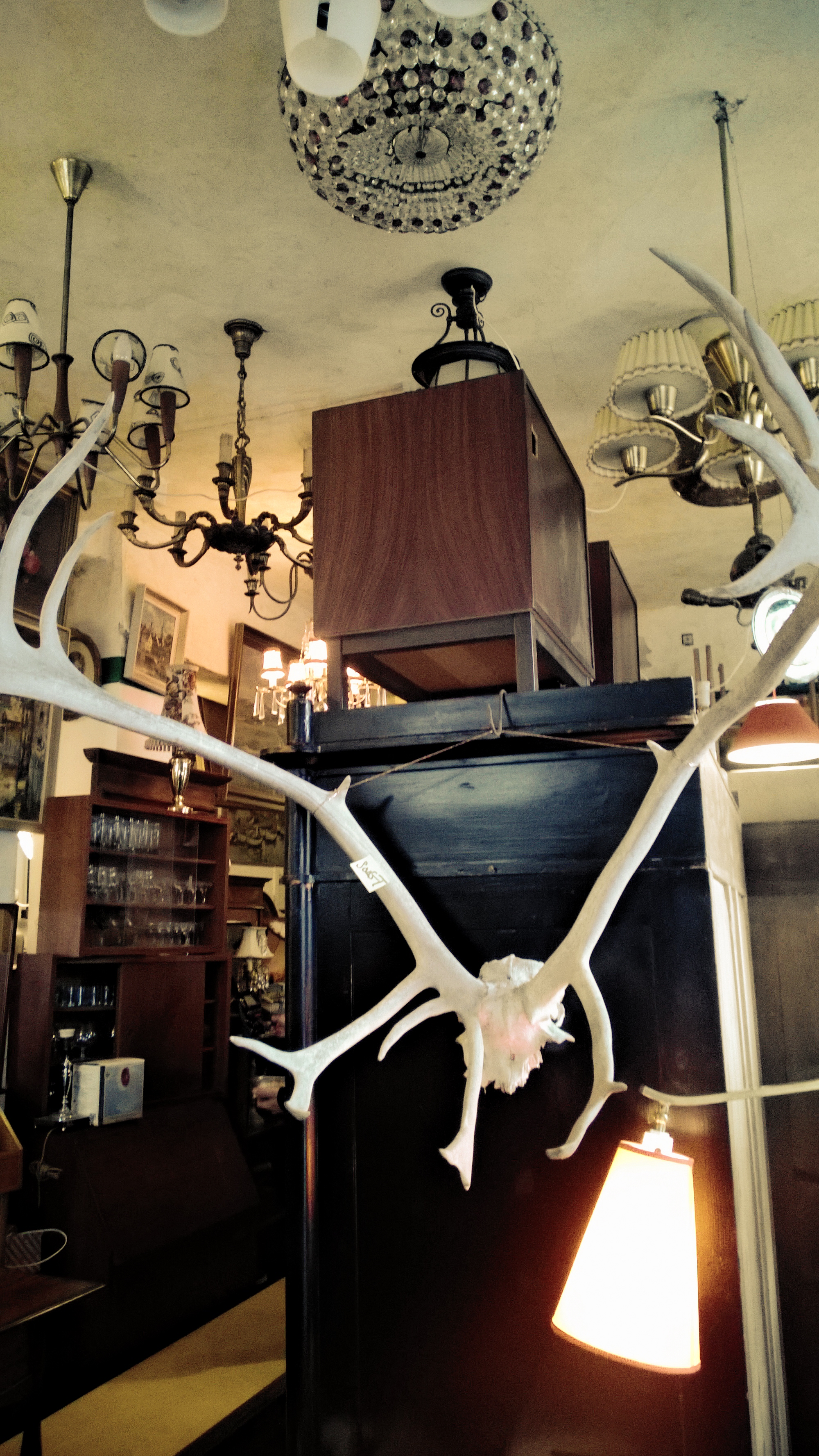 WP_20140104_01520140104154009